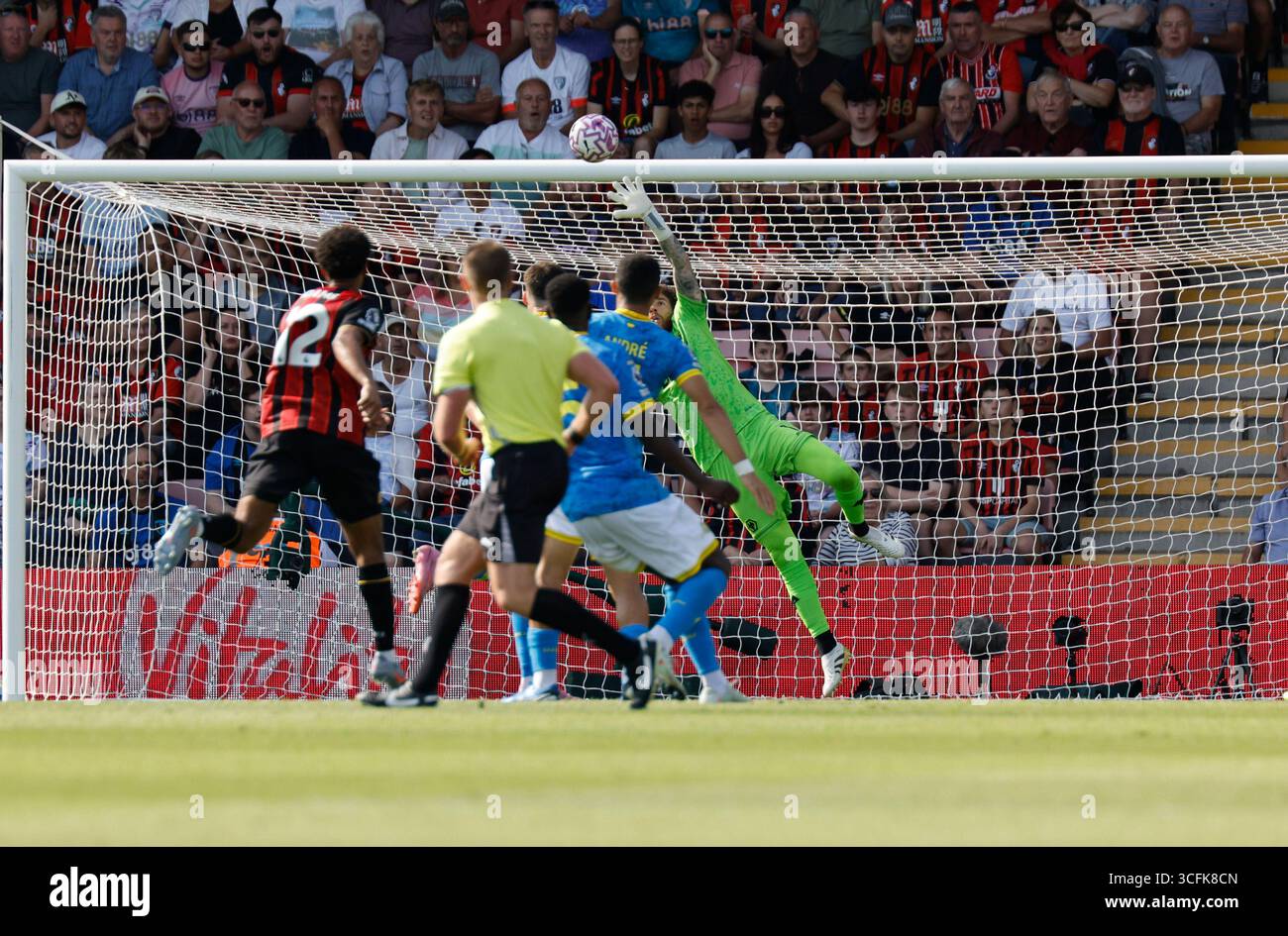 José sá wolves 2025 hi-res stock photography and images - Alamy