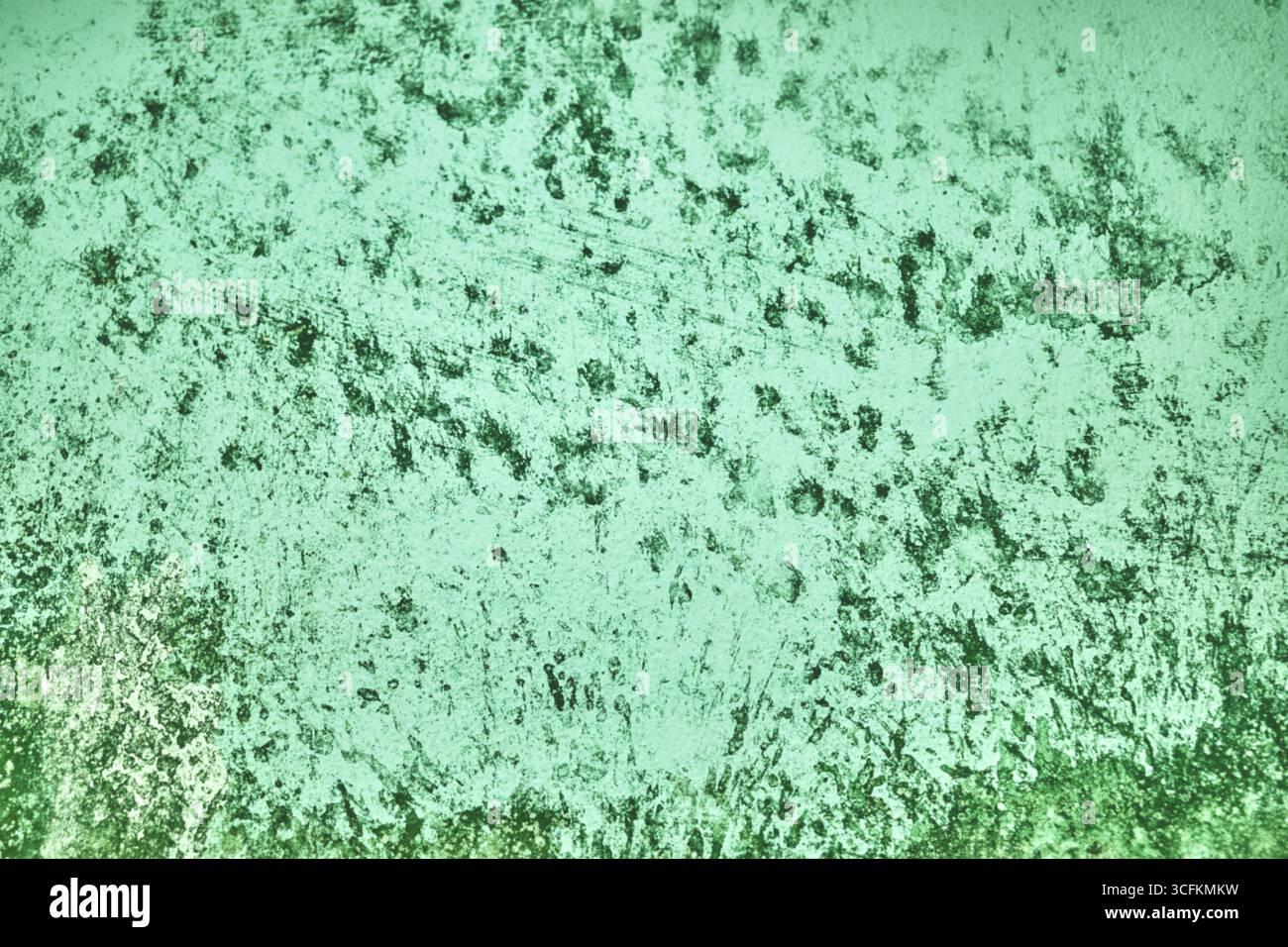 Blurred abstract grungy green background. Stock Photo