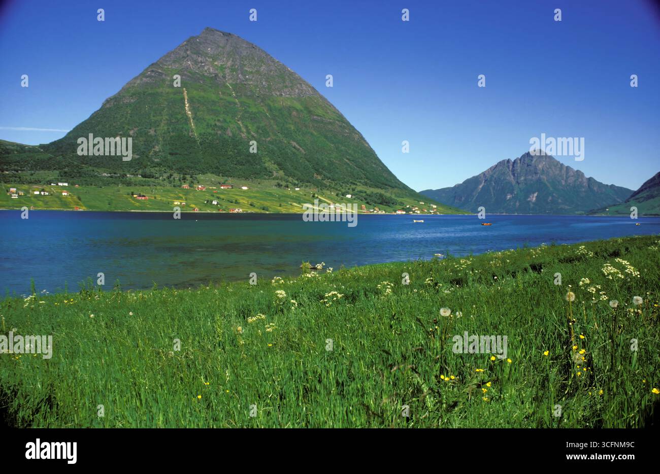 View of Aldra Island in Nordland County. Meadows, water and farmland below the mountain. View from Kystriksveien, FV 17, Norway. Sunny June. Stock Photo