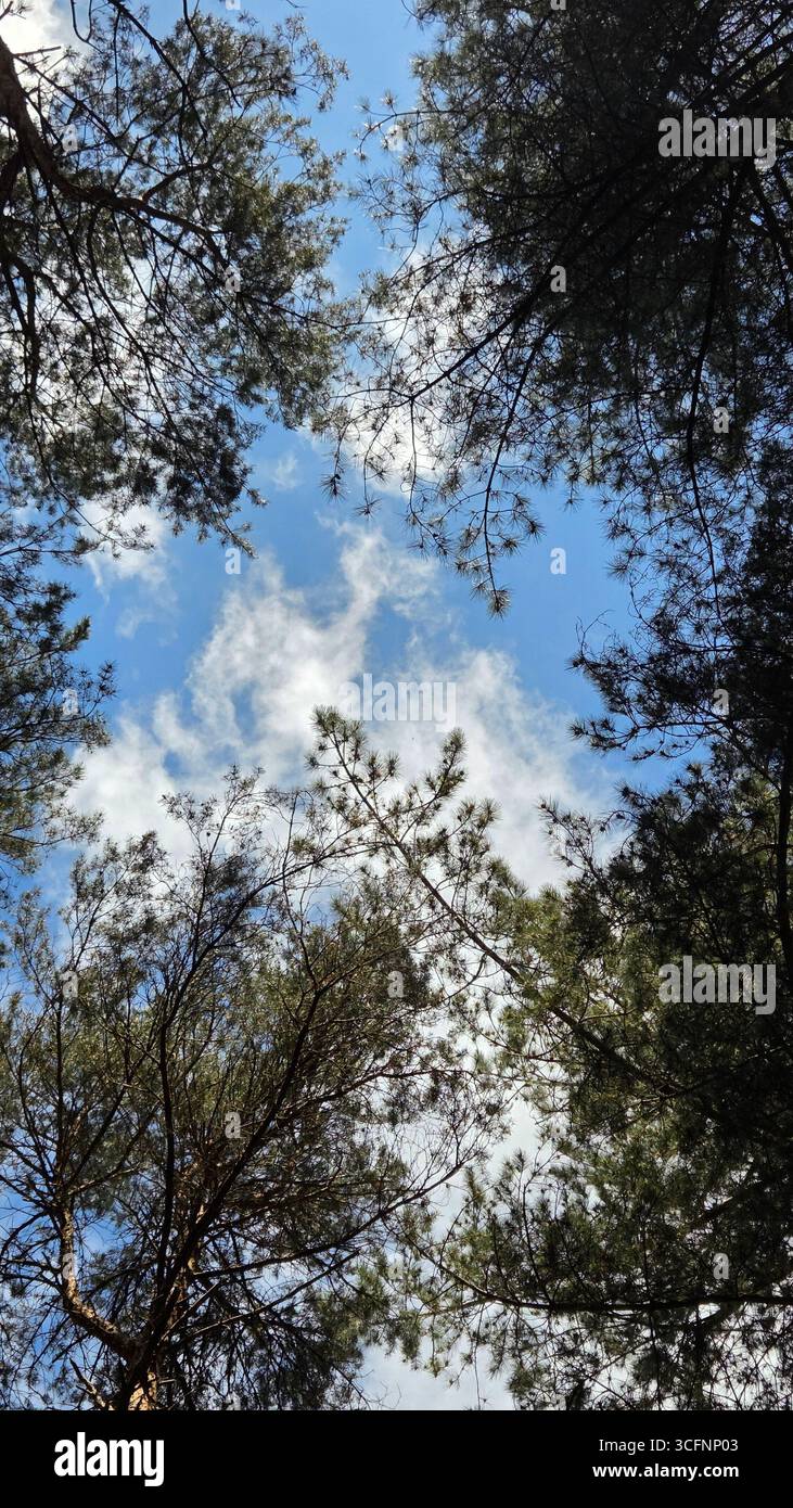 Canopy up hi-res stock photography and images - Alamy