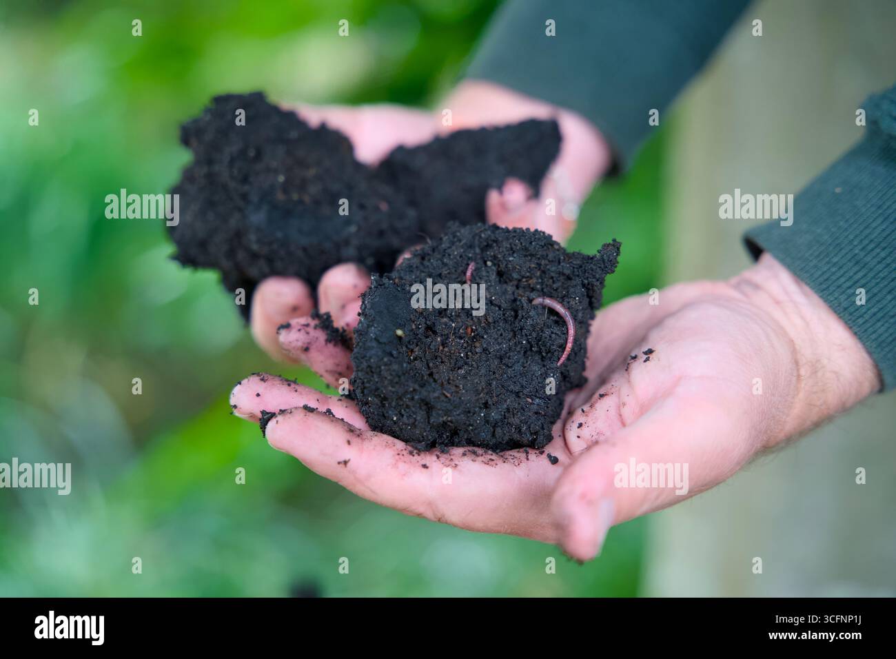 Closeup of two hands holding a piece of terra preta, a highly fertile — free download