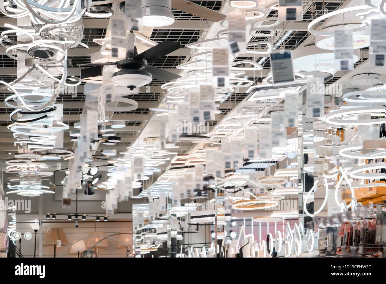 An array of stylish lighting fixtures hangs elegantly from the ceiling ...