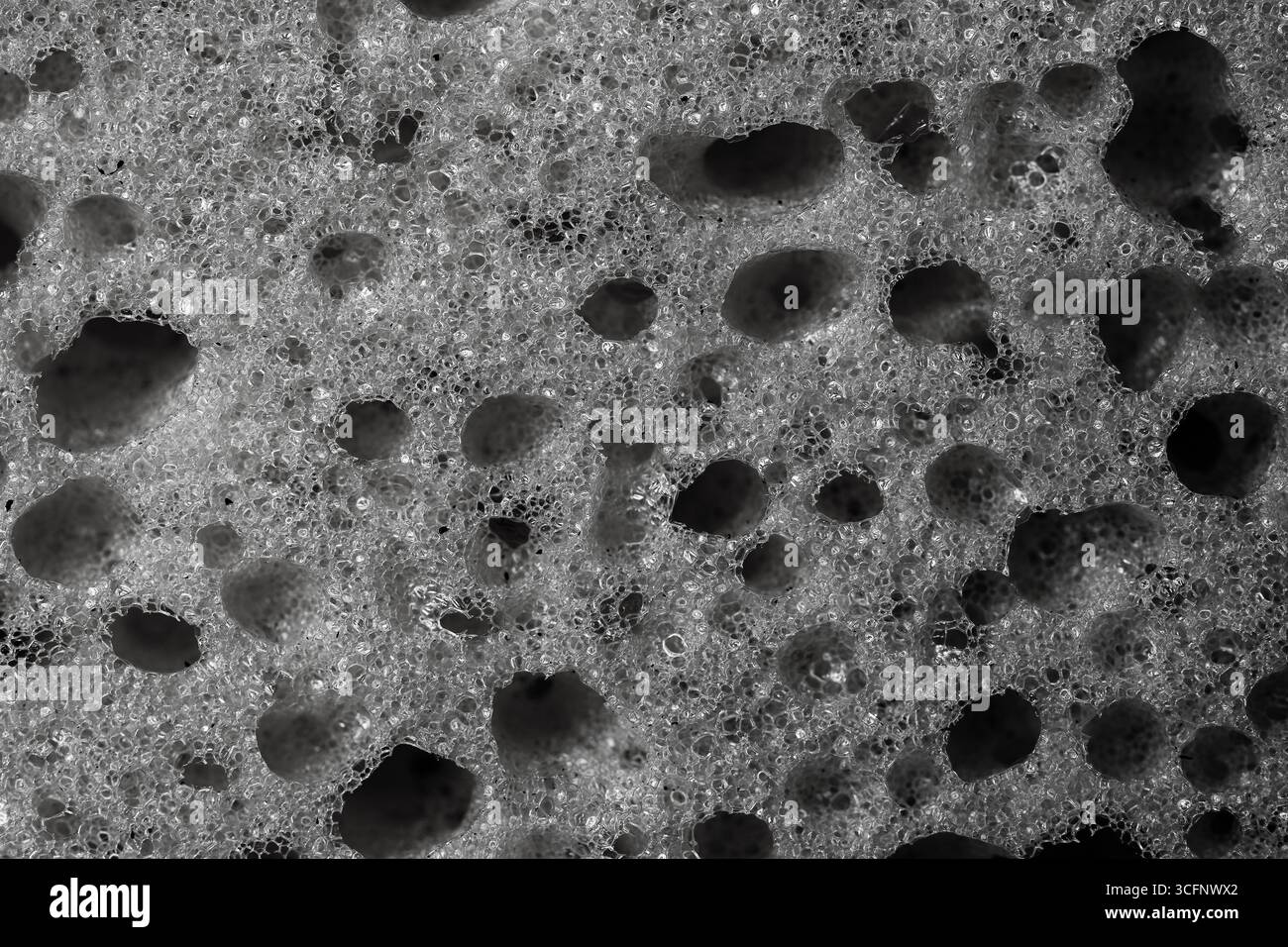Sponge detail texture, sponge texture close up background. Cellulose sponge texture. Black and white Stock Photo