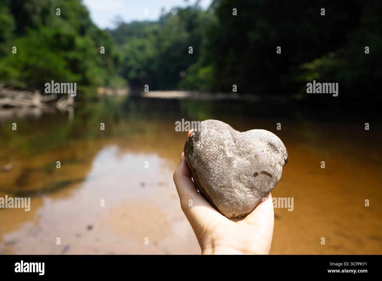 Hand holding a heart shaped rock in front of a tropical river in a jungle Stock Photo