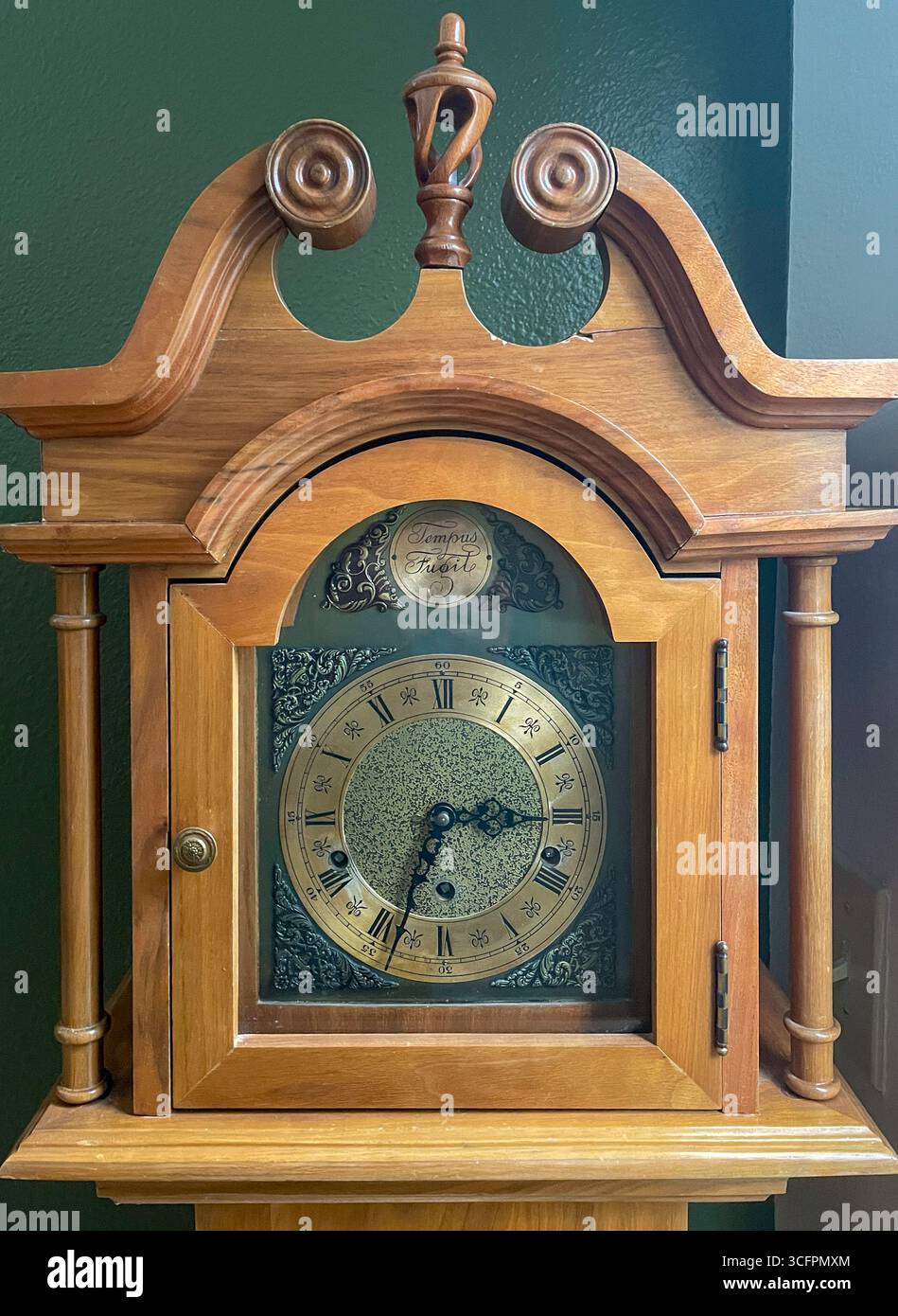 Vintage ornate wooden grandfather clock handcrafted by a master woodworker, United States - Smartphone Captured Stock Image