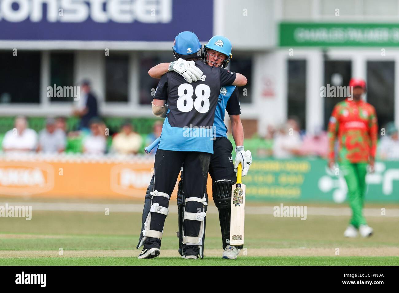 A Cricket's Tales, image size:1300x956