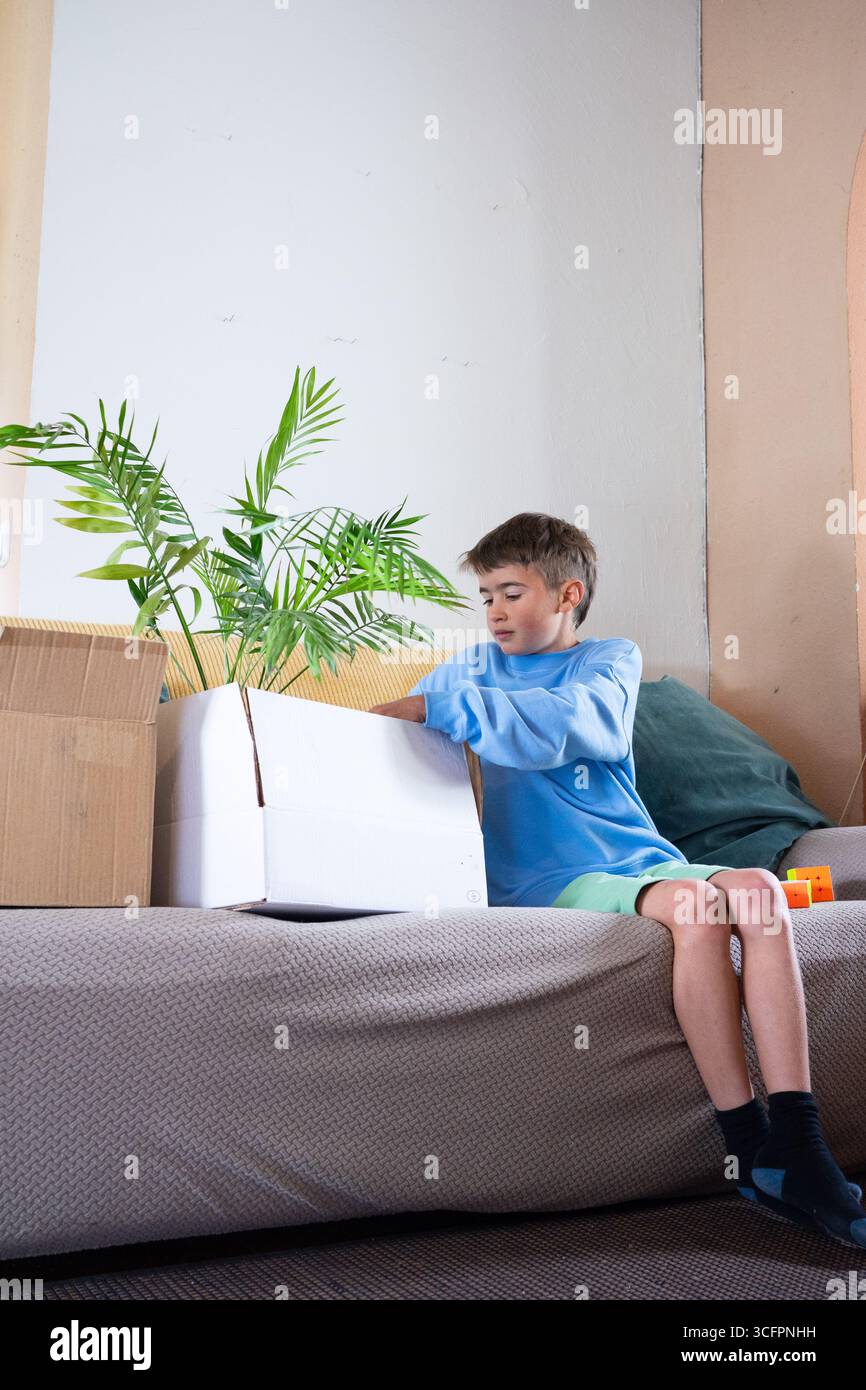Child unpacking belongings in new apartment placing houseplant on couch Stock Photo