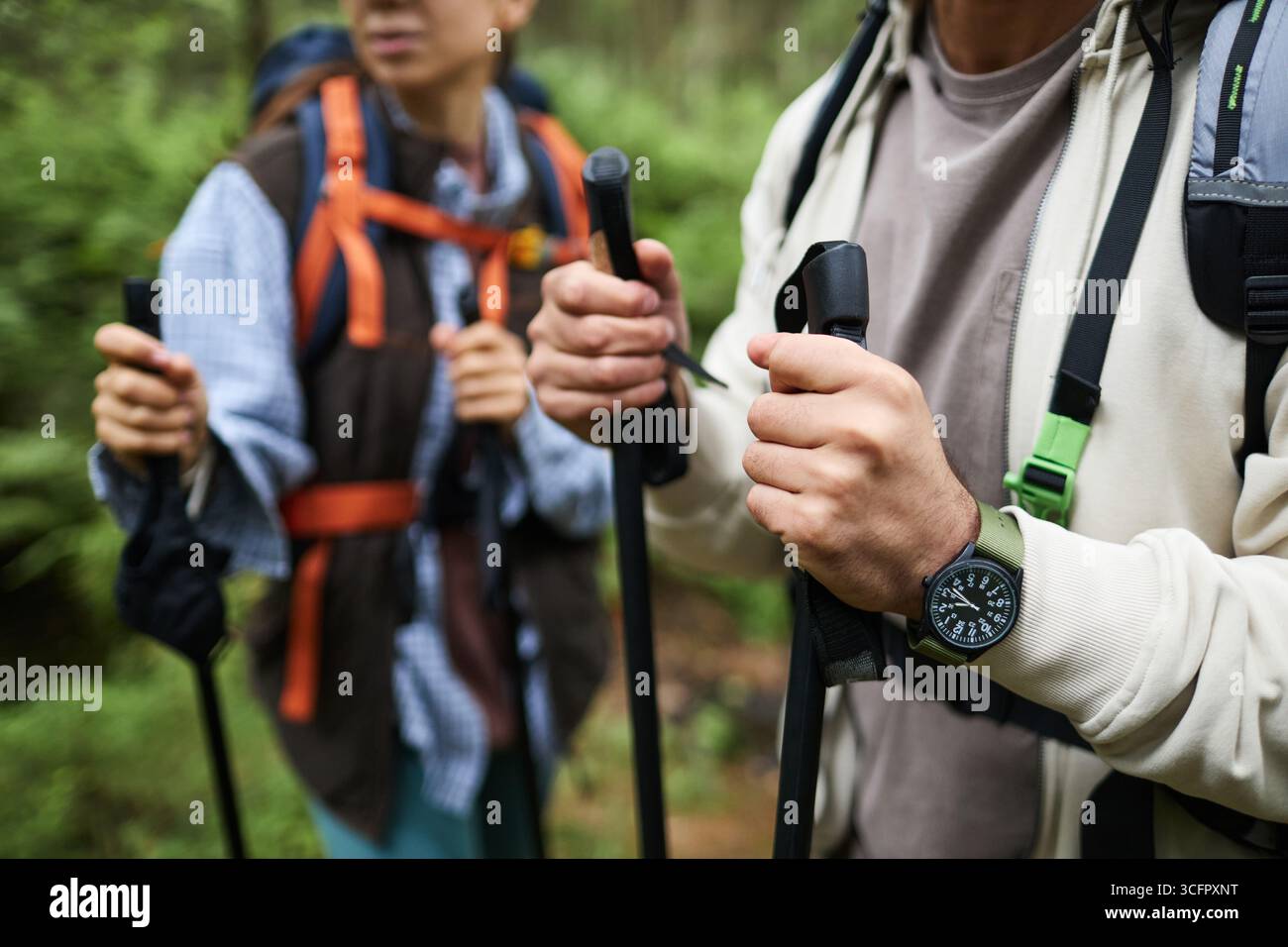 Man holding hiking stick hi-res stock photography and images - Alamy