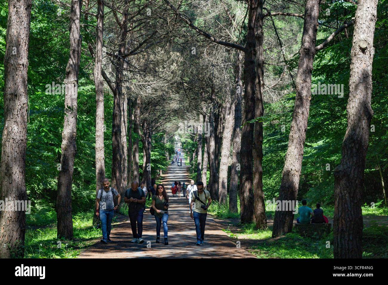 People on a relaxing nature walk, exploring a beautiful, secluded trail on a bright day Stock Photo