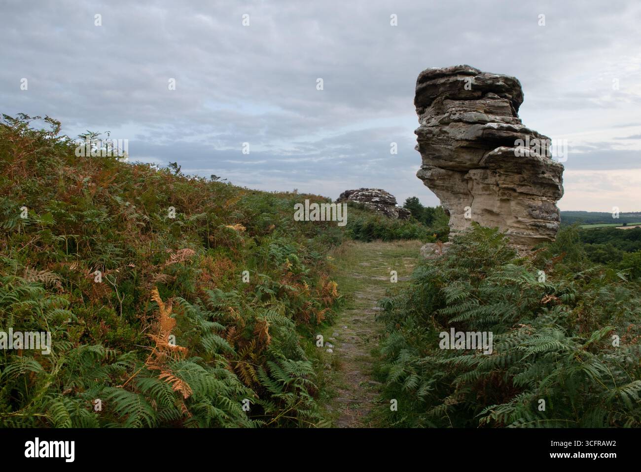 Bridestone Rocks Bridestone hi-res stock photography and images - Alamy