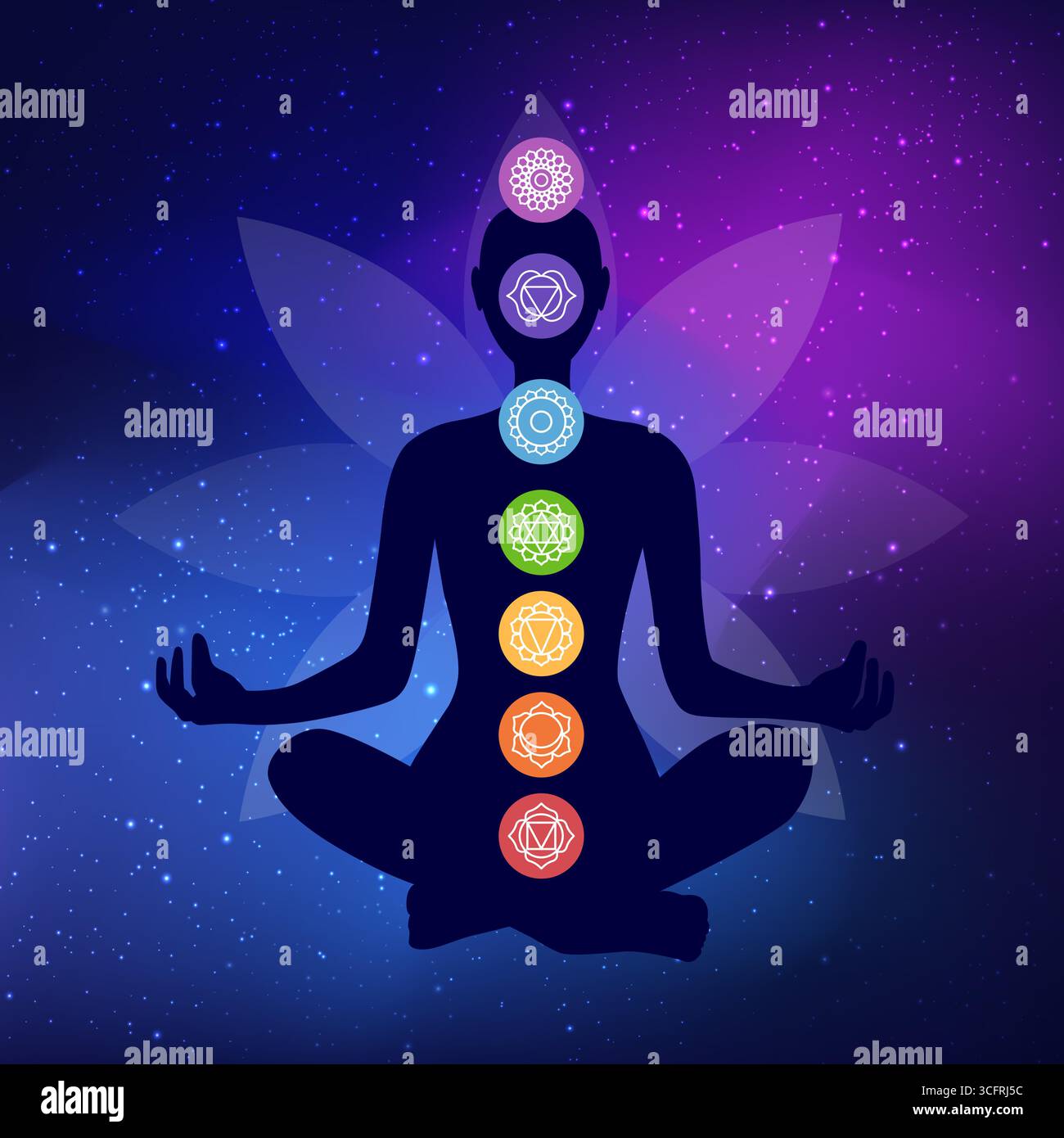 human body silhouette with chakras icons Stock Vector Image & Art - Alamy