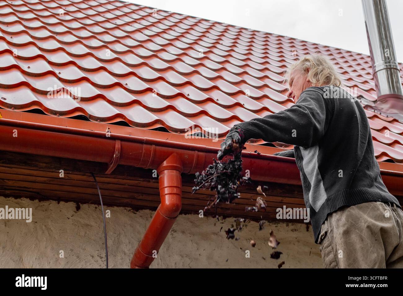 A man on a ladder clears leaves from the gutter of a house with a red ...