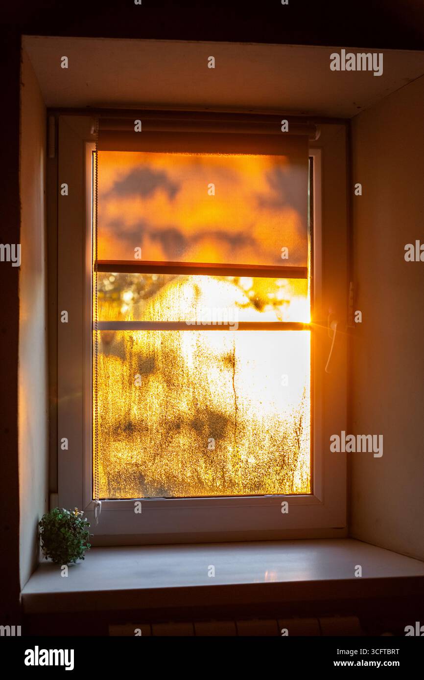 Warm sunlight streams through a window covered in condensation and partially covered by a roller blind. Stock Photo
