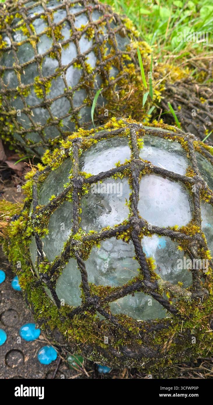 Moss-Covered Glass Fishing Float with Netting - Smartphone Captured Stock Image Moss-Covered Glass Fishing Float with Netting - Smartphone Captured Stock Image