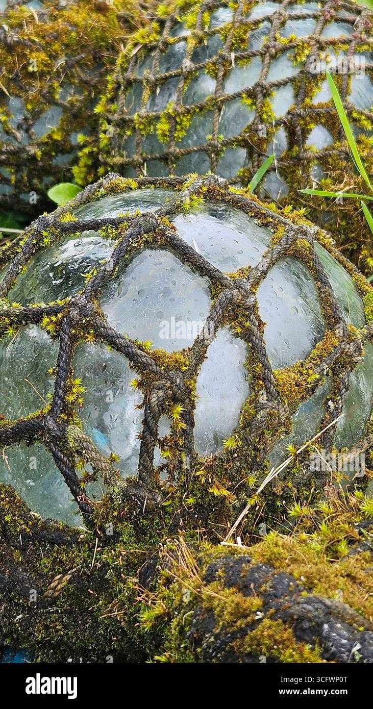 Moss-Covered Glass Fishing Float with Netting - Smartphone Captured Stock Image Moss-Covered Glass Fishing Float with Netting - Smartphone Captured Stock Image