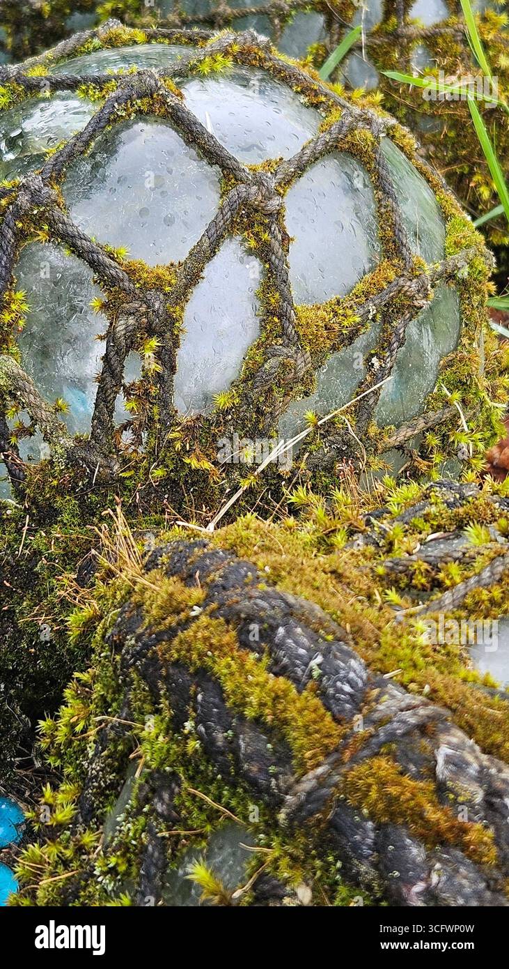 Moss-Covered Glass Fishing Float with Netting - Smartphone Captured Stock Image Moss-Covered Glass Fishing Float with Netting - Smartphone Captured Stock Image