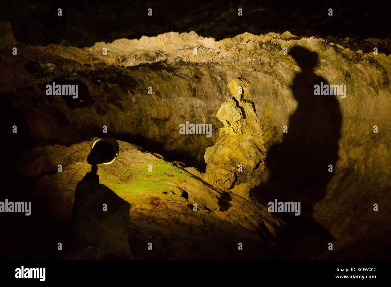 Knobbly Rocks A spotlight illuminates a knobby rock formation inside Hallim Park’s ...