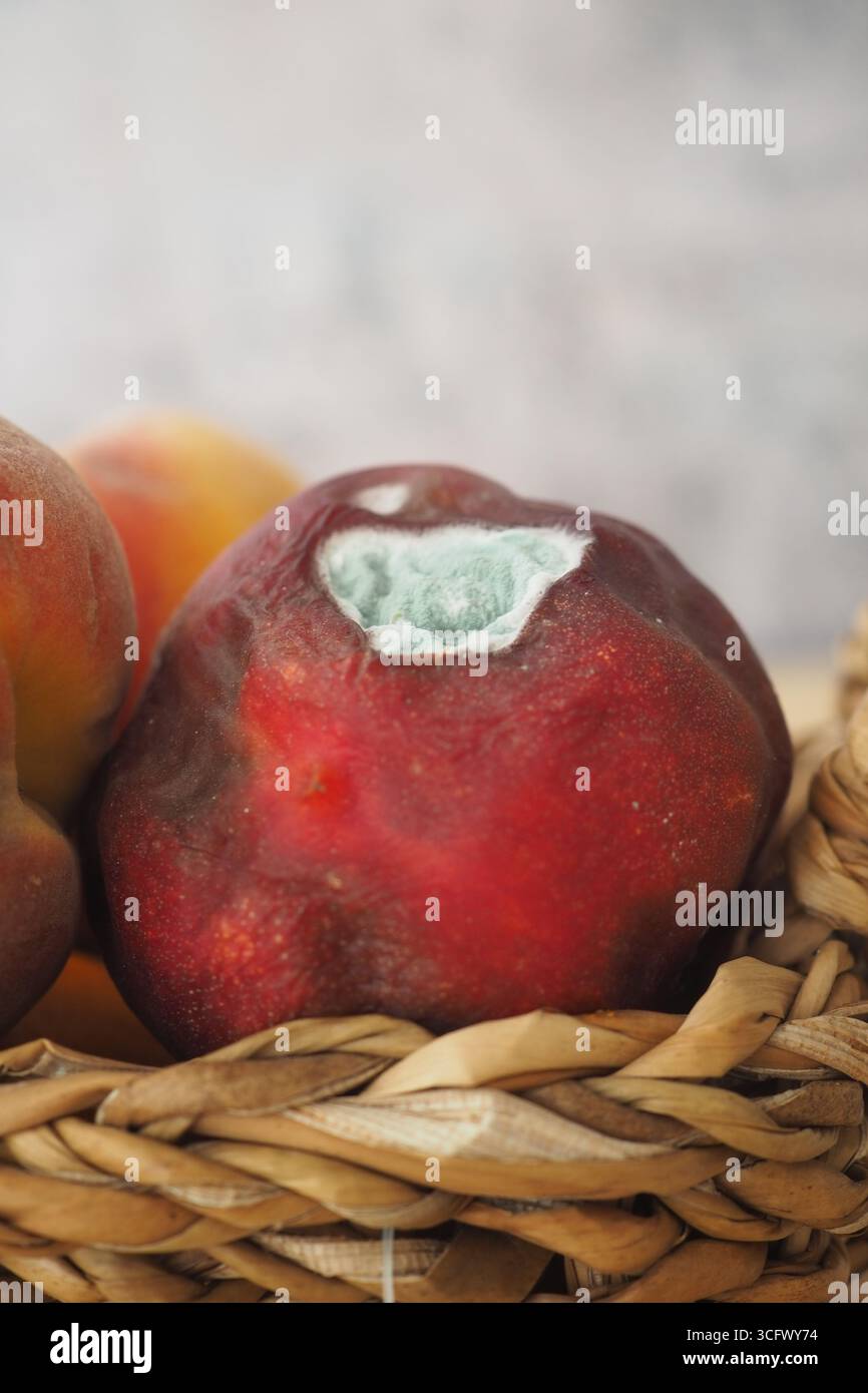 The moldy peaches hi-res stock photography and images - Alamy