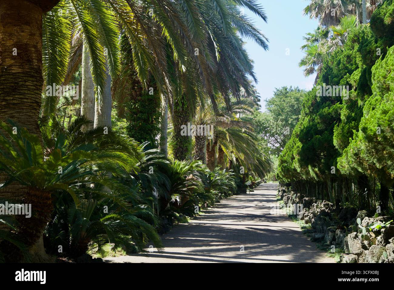 Long park pathway shaded hi-res stock photography and images - Alamy