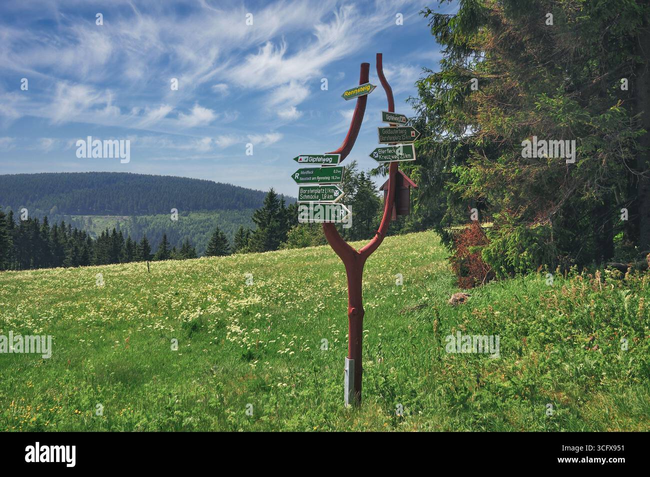 Signpost on the Rennsteig, a 170 km long highland hiking trail,thuringian Forest,Thuringia,Germany Stock Photo