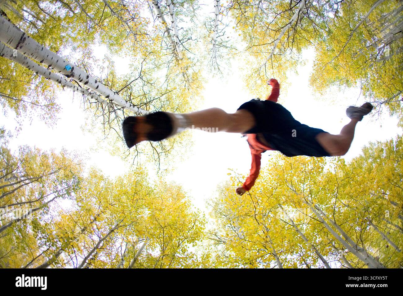 Young man trail running during fall near Fallen Leaf Lake, CA. Stock Photo