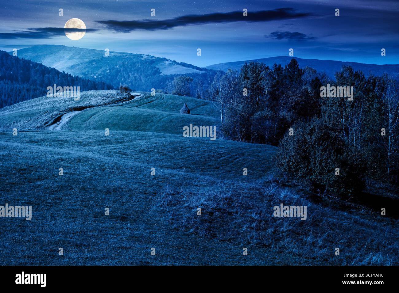 countryside mountain landscape in autumn at night. trees in colorful foliage on the hill. rustic scenery under cloudless blue sky in full moon light. Stock Photo