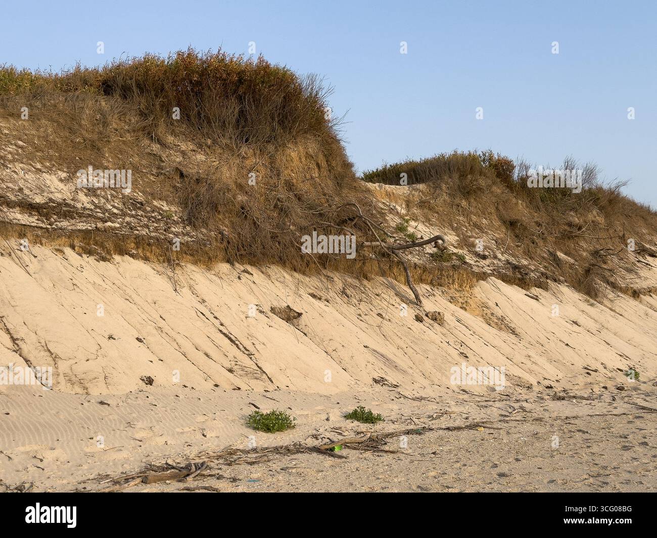 Dune erosion reveals layers of sand and plant roots with a clear, calm ...