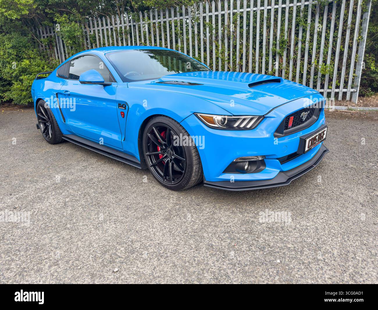Blue Ford mustanf muscle sports car parked on a concrete surface with a metal fence and green shrubs in the background - Smartphone Captured Stock Image