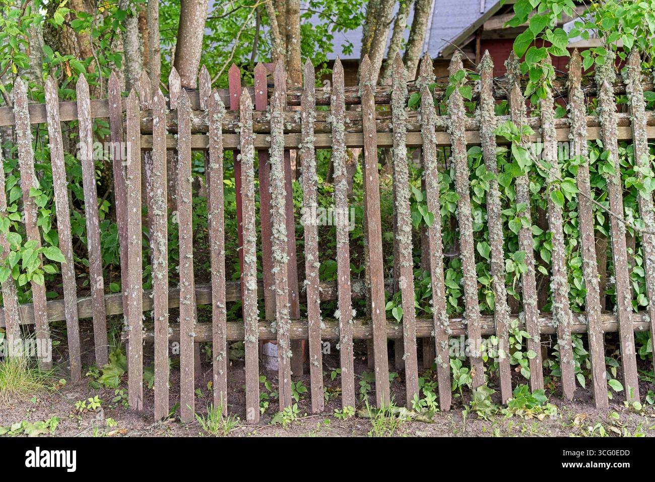 Wooden picket fence hi-res stock photography and images - Alamy