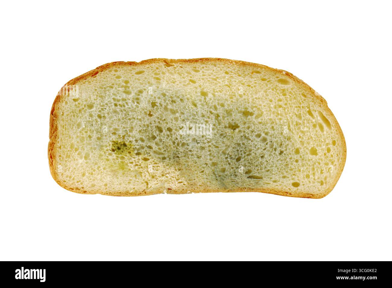 Mold growth on bread hi-res stock photography and images - Alamy