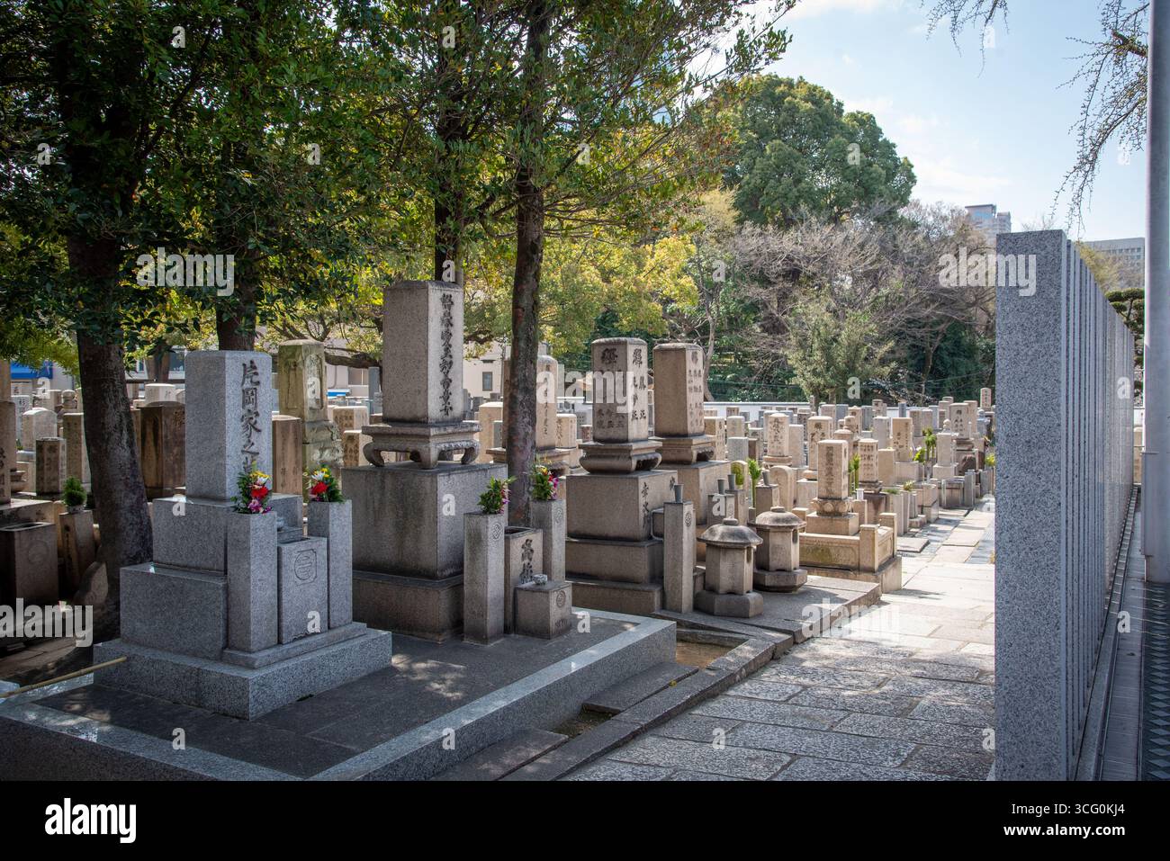 Traditional Cemetery at Isshin-ji Temple in Osaka, Japan. Rows of stone gravestones with flowers in a cemetery, a peaceful historic site in Osaka. Stock Photo