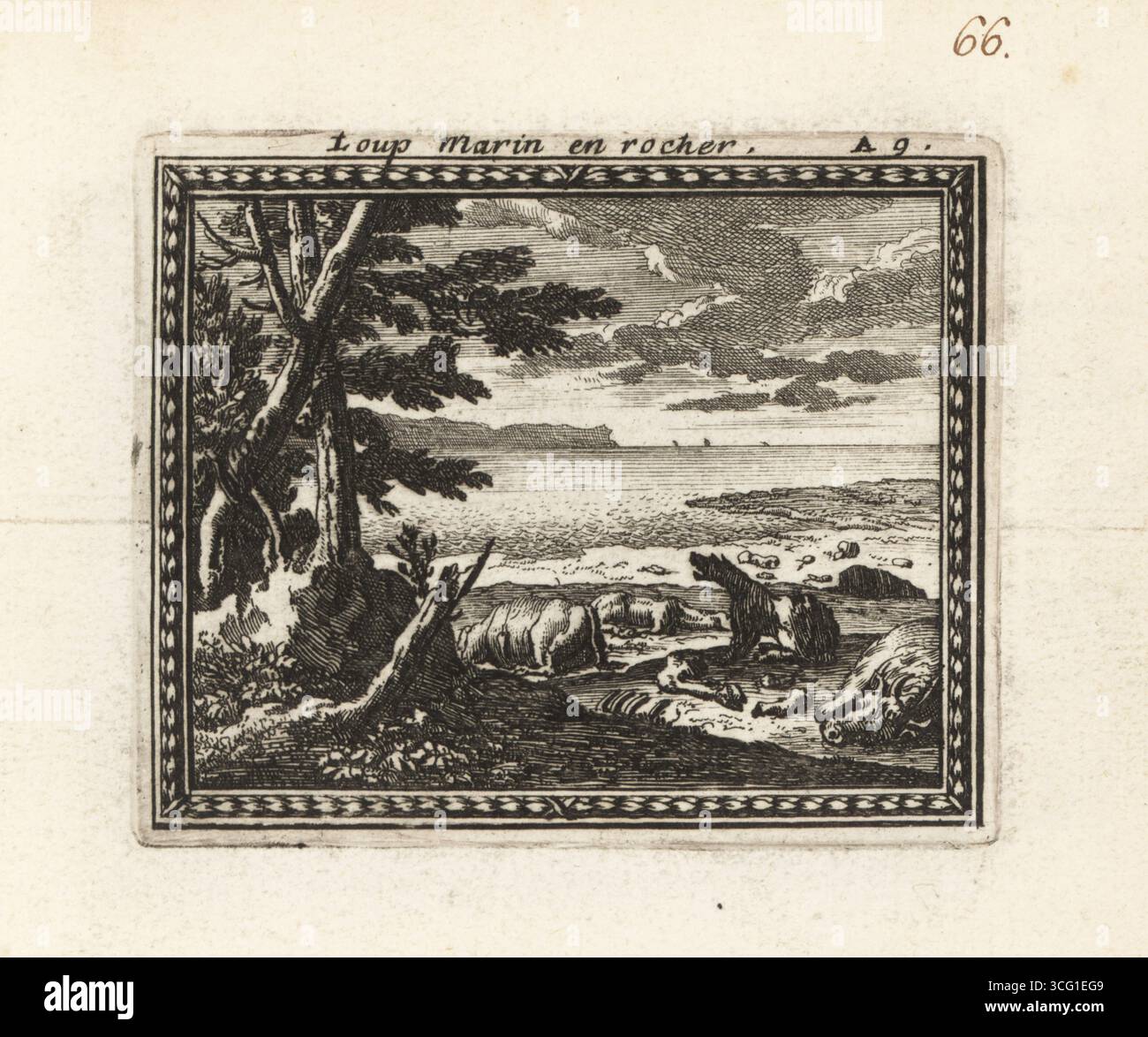 Psamathe transforms a monstrous wolf into stone on the shore. The Nereid Psamathe sent a wolf to destroy Peleus' herd of cattle to avenge the death of Phocus. Peleus begged his wife the sea nymph Thetis to intercede, and Psamathe turned the wolf into marble among the carcasses of the bulls. Loup Marin en rocher. Copperplate engraving from Metamorphoses d’Ovide en Rondeaux, Ovid’s Metamorphoses, chez Audran, Paris, 1676. Stock Photo