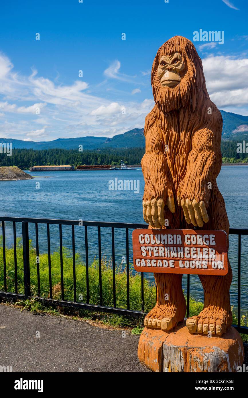 A Sasquatch statue at the town of Cascade Locks, Oregon, USA. Stock Photo