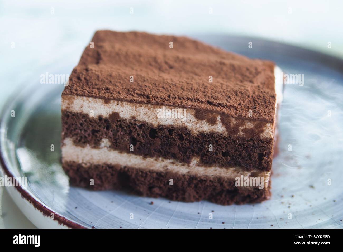 Delicious chocolate dessert served on a decorative plate Stock Photo