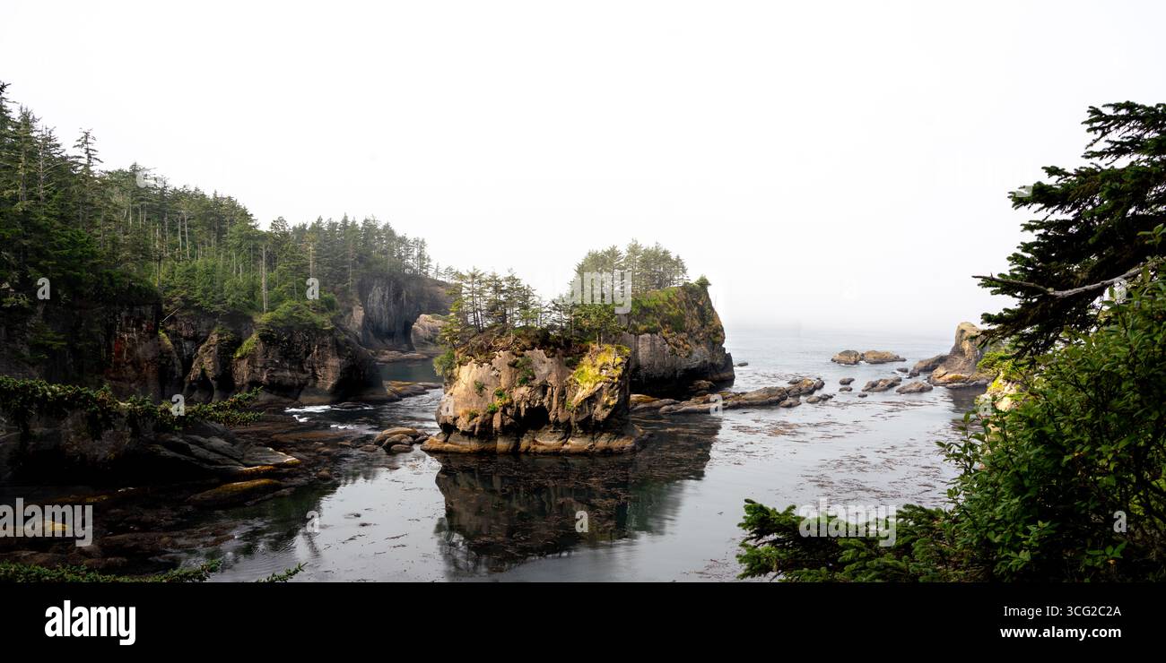 Foggy coastal cliffs and sea stacks at Cape Flattery, Washington, USA, the northwesternmost point of the contiguous United States. Stock Photo