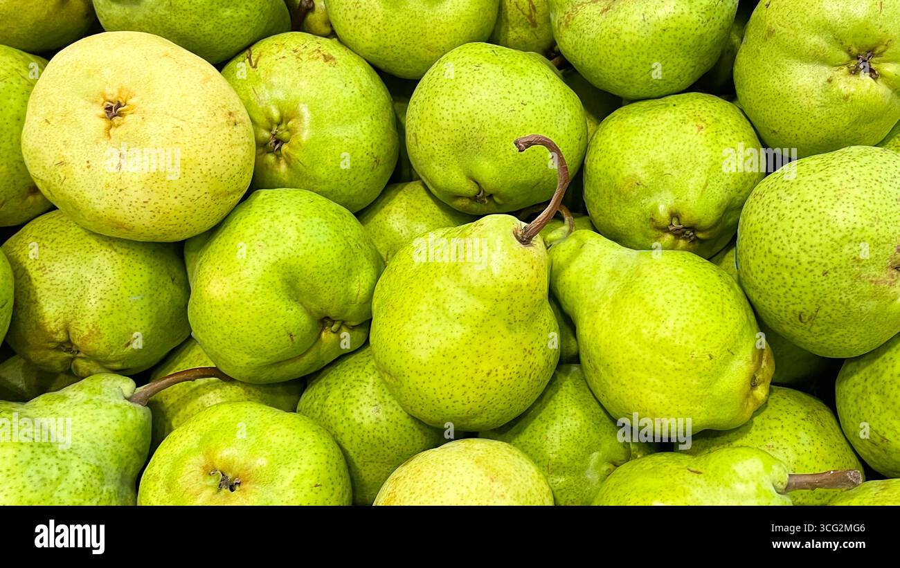 close-up shot of a pile of fresh green pears, some with brown stems. - Smartphone Captured Stock Image