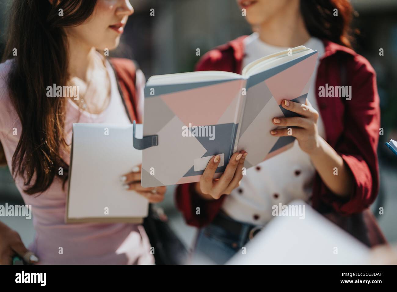 Two students discussing notes while studying together outdoors Stock Photo