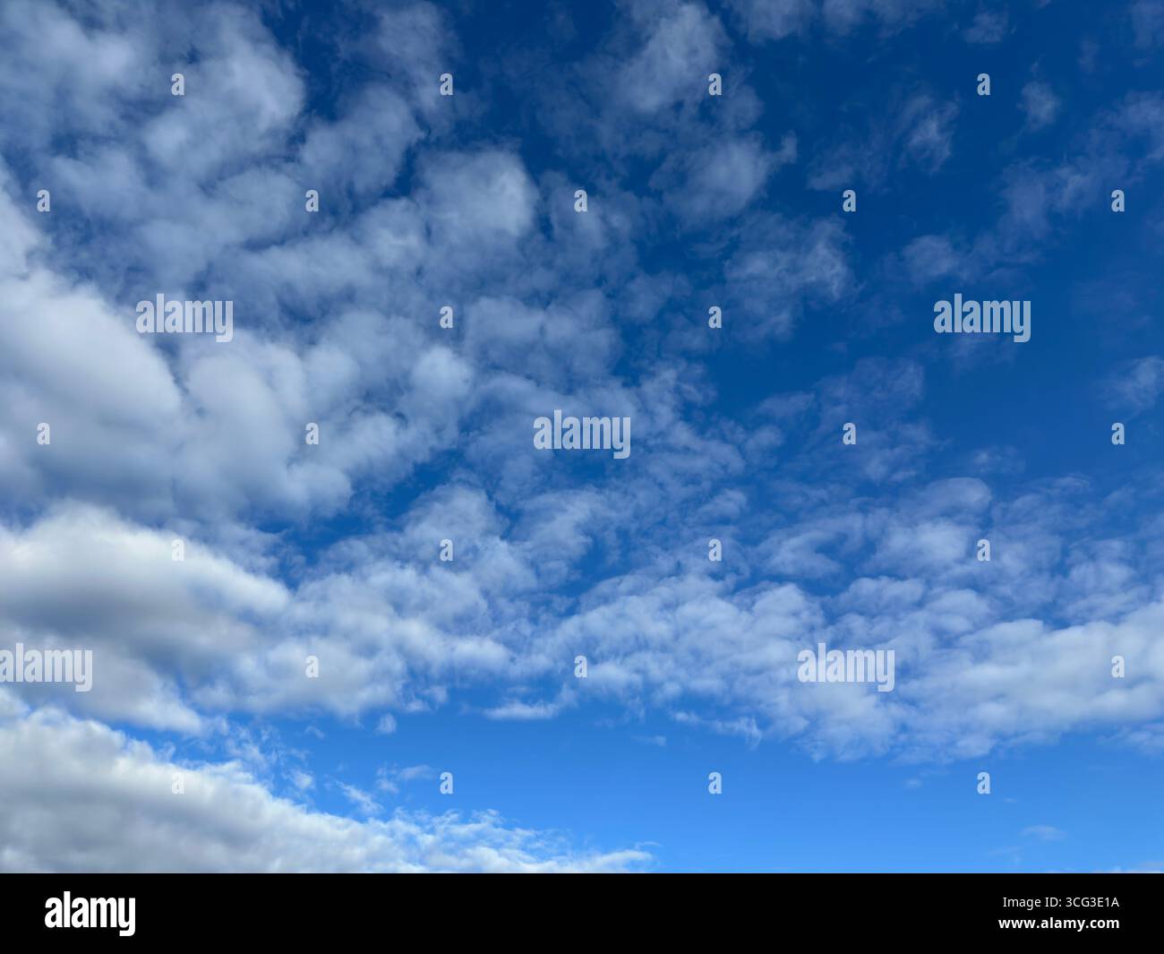 Beautiful blue sky filled with fluffy white clouds. - Smartphone Captured Stock Image
