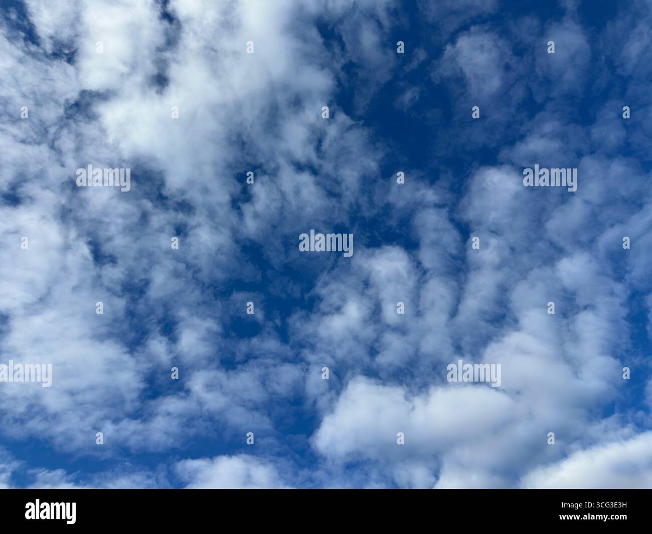 Beautiful blue sky filled with fluffy white clouds. - Smartphone Captured Stock Image