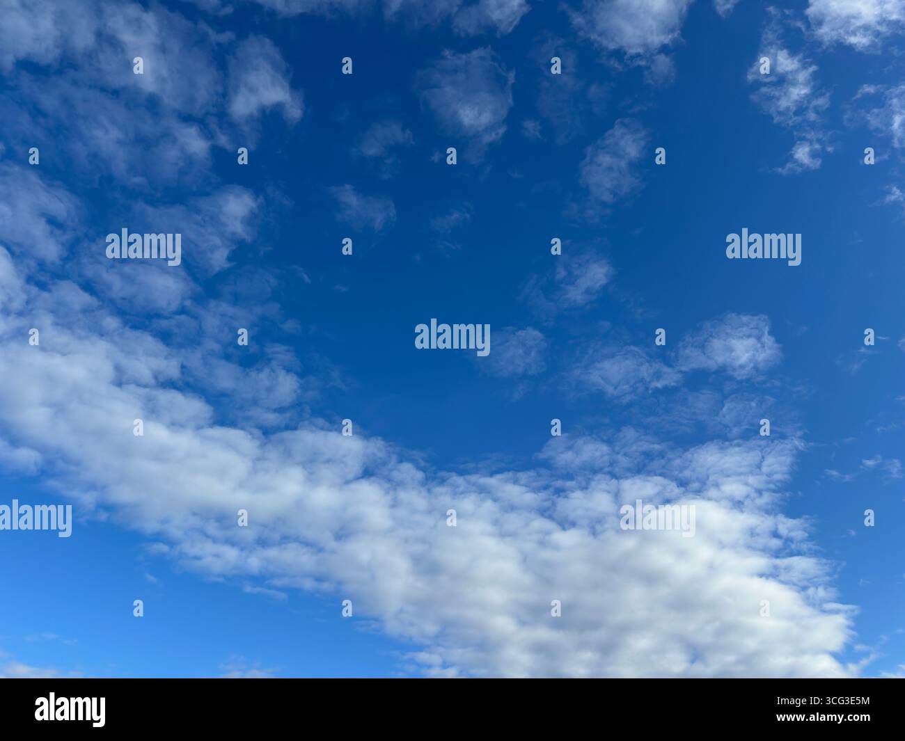 The bright blue sky is filled with fluffy white clouds, creating a beautiful cloudscape. - Smartphone Captured Stock Image