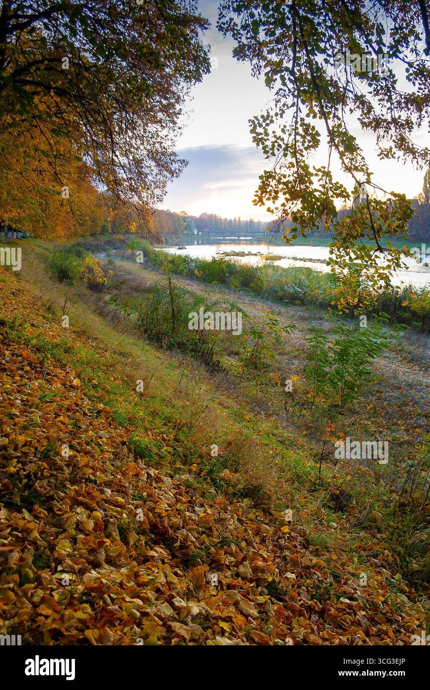 uzhhorod, ukraine - 31 oct, 2009: river uzh at dawn in autumn. beautiful cityscape scenery in morning light. scenic linden alley in fall colors. falle Stock Photo