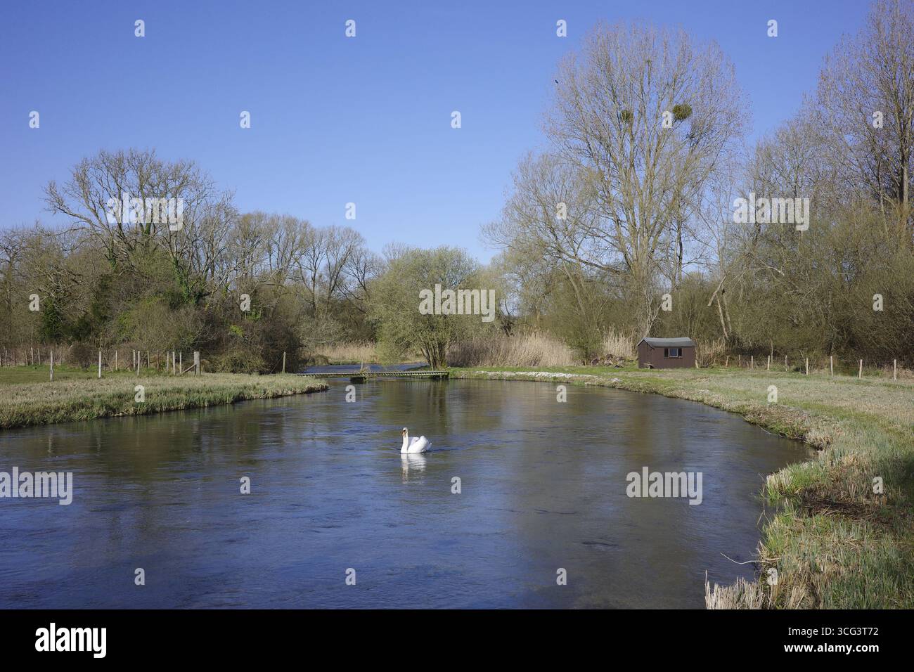 Winchester. England. The River Itchen at Martyr Worthy. The river is is one of the world’s premier chalk streams for fly fishing. Stock Photo