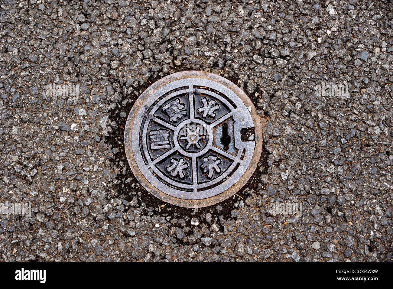 Intricate metal plate water supply covers in the road, in Tokyo, Japan - Stock Image