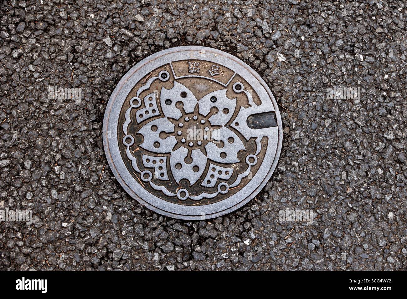 Intricate metal plate water supply covers in the road, in Tokyo, Japan - Stock Image