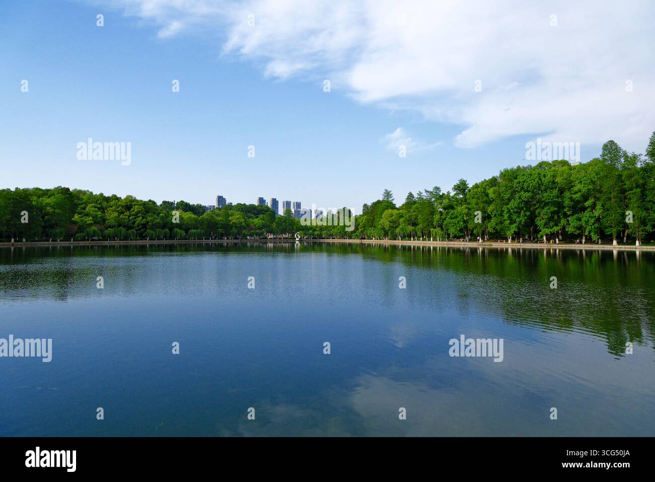 Wide-angle view of the blue water, lush green trees, and distant city buildings at East Lake in Wuhan Stock Photo