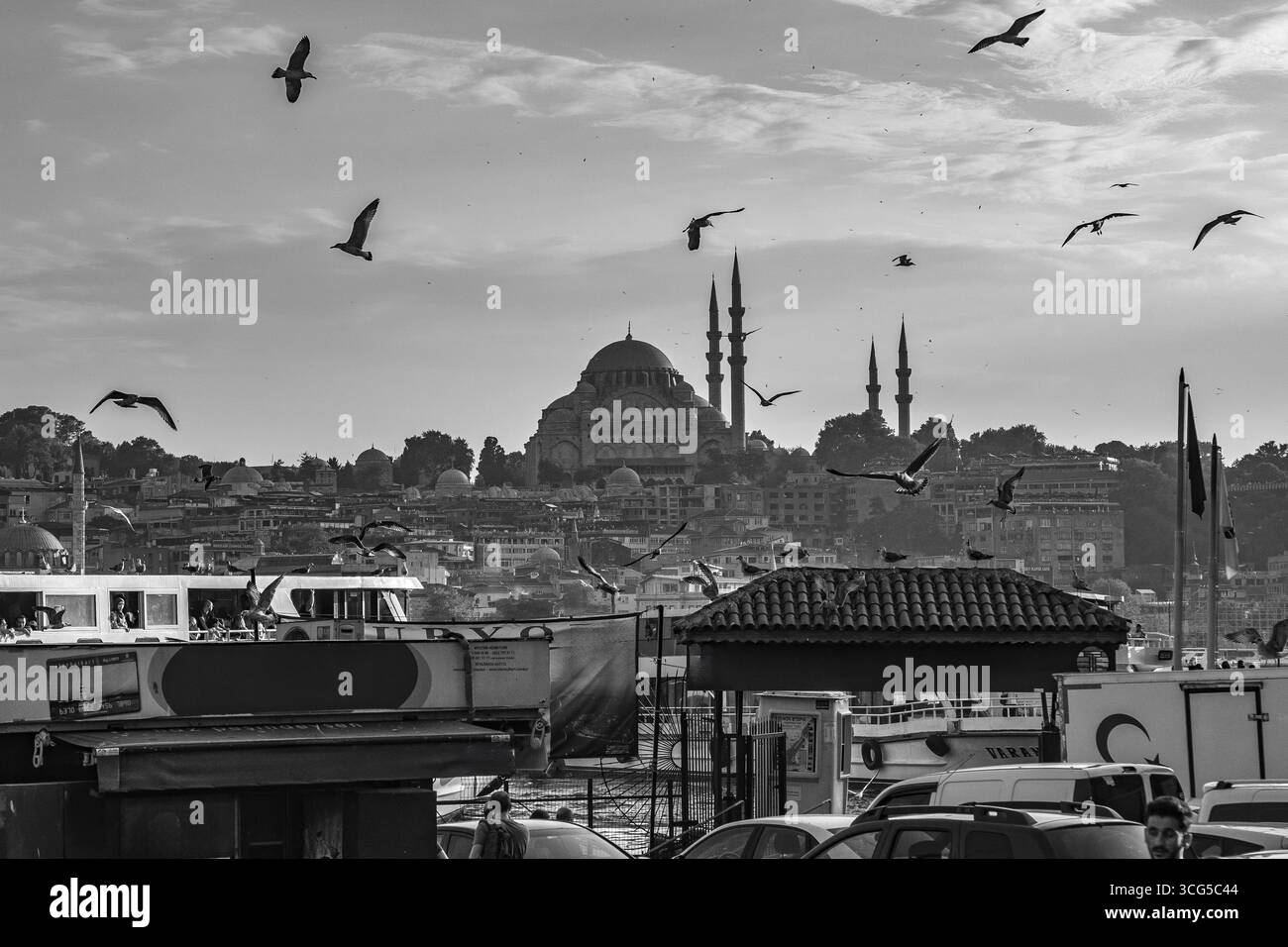 Scenic view of seagulls flying over the bosphorus strait with the suleymaniye mosque dominating the istanbul cityscape in monochrome Stock Photo