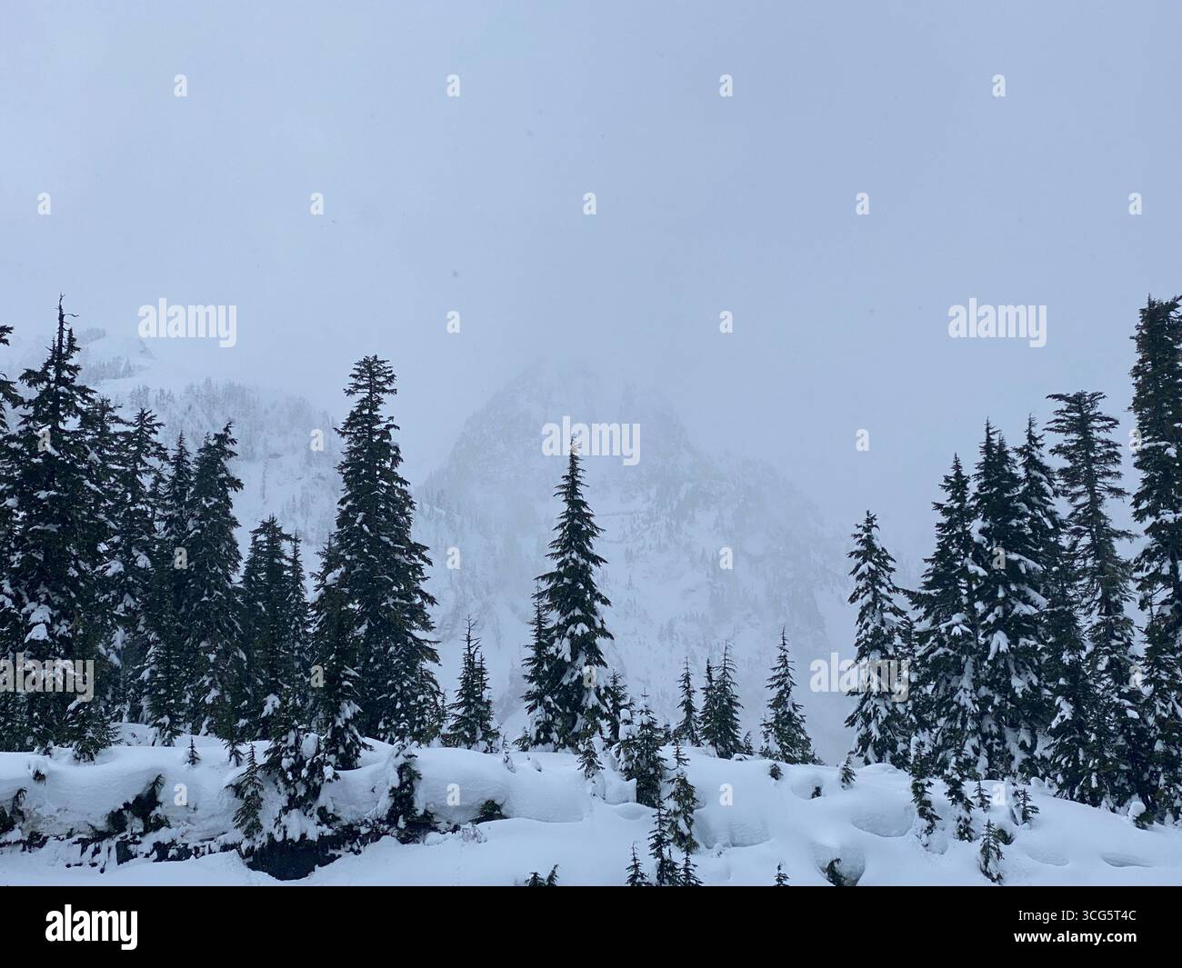 Snowy Mount Baker - Smartphone Captured Stock Image