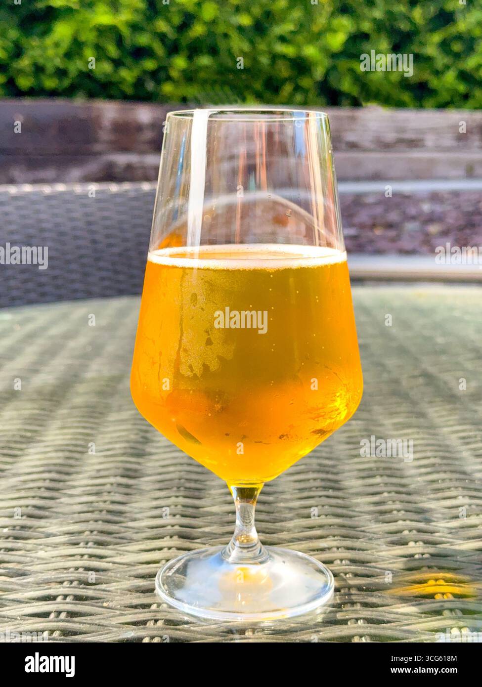 Glass of golden lager beer on a table in the back garden of a house. No people. - Smartphone Captured Stock Image