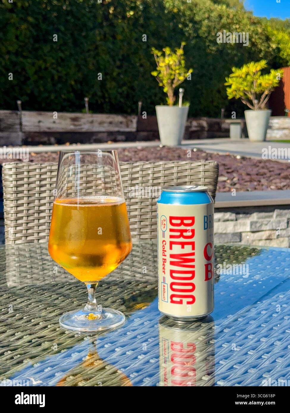 Cardiff, Wales, UK - 10 August 2025: Open can of Brewdog Cold Beer alongside a glass of beer on a table in a garden - Smartphone Captured Stock Image