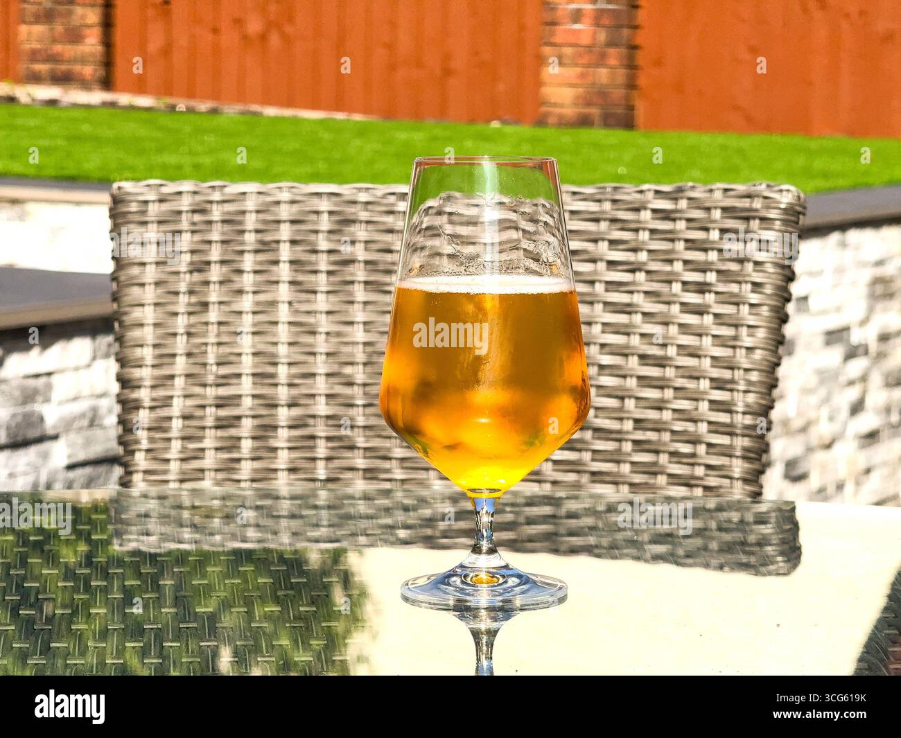 Glass of golden lager beer on a table in a garden - Smartphone Captured Stock Image